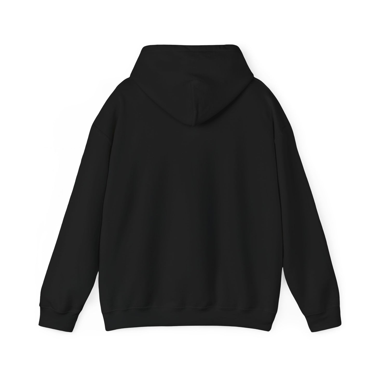 HELLO Labs Heavy Blend™ Hooded Sweatshirt
