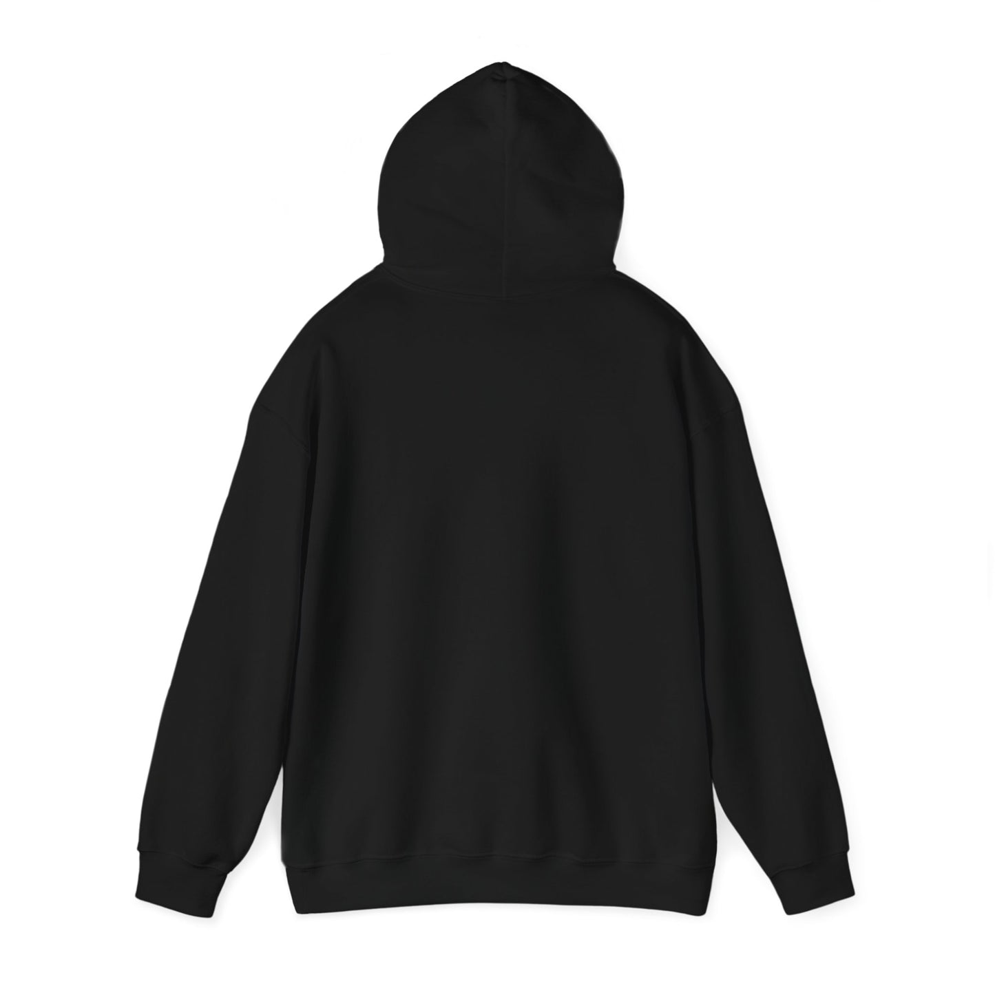 HELLO Labs Heavy Blend™ Hooded Sweatshirt